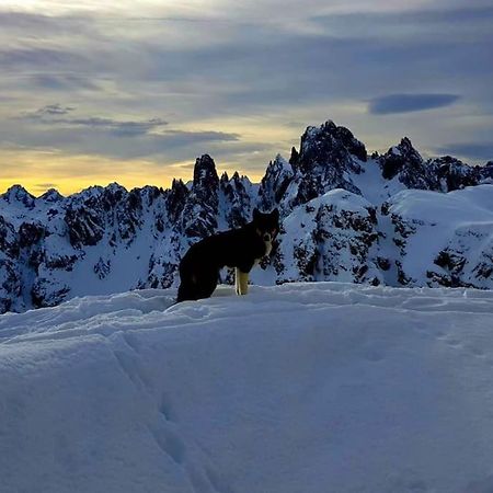 Appartamento Daniela Dolomiti. Auronzo di Cadore Bagian luar foto