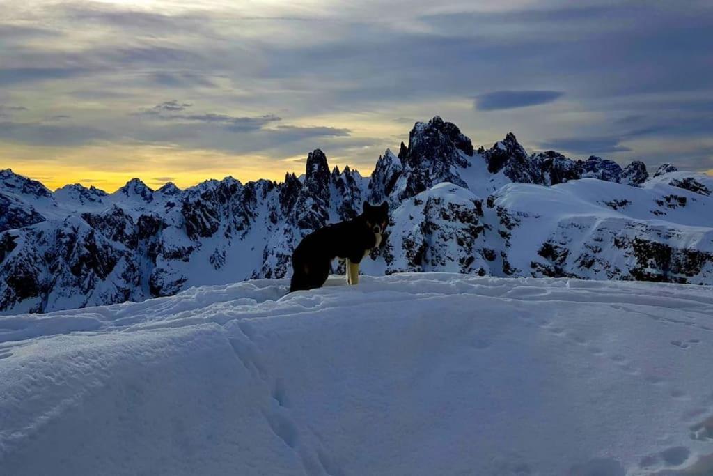 Appartamento Daniela Dolomiti. Auronzo di Cadore Bagian luar foto